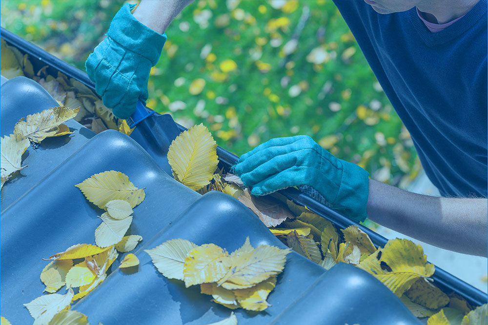 Gutter Cleaning Service