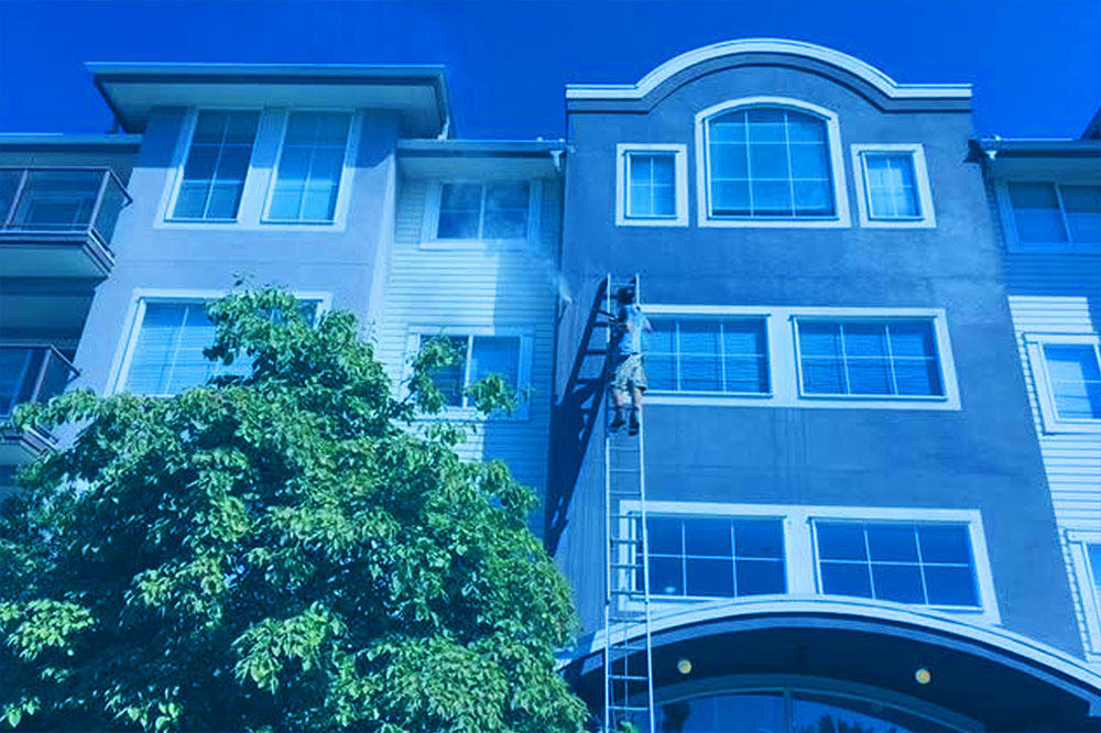 Window Cleaning Service